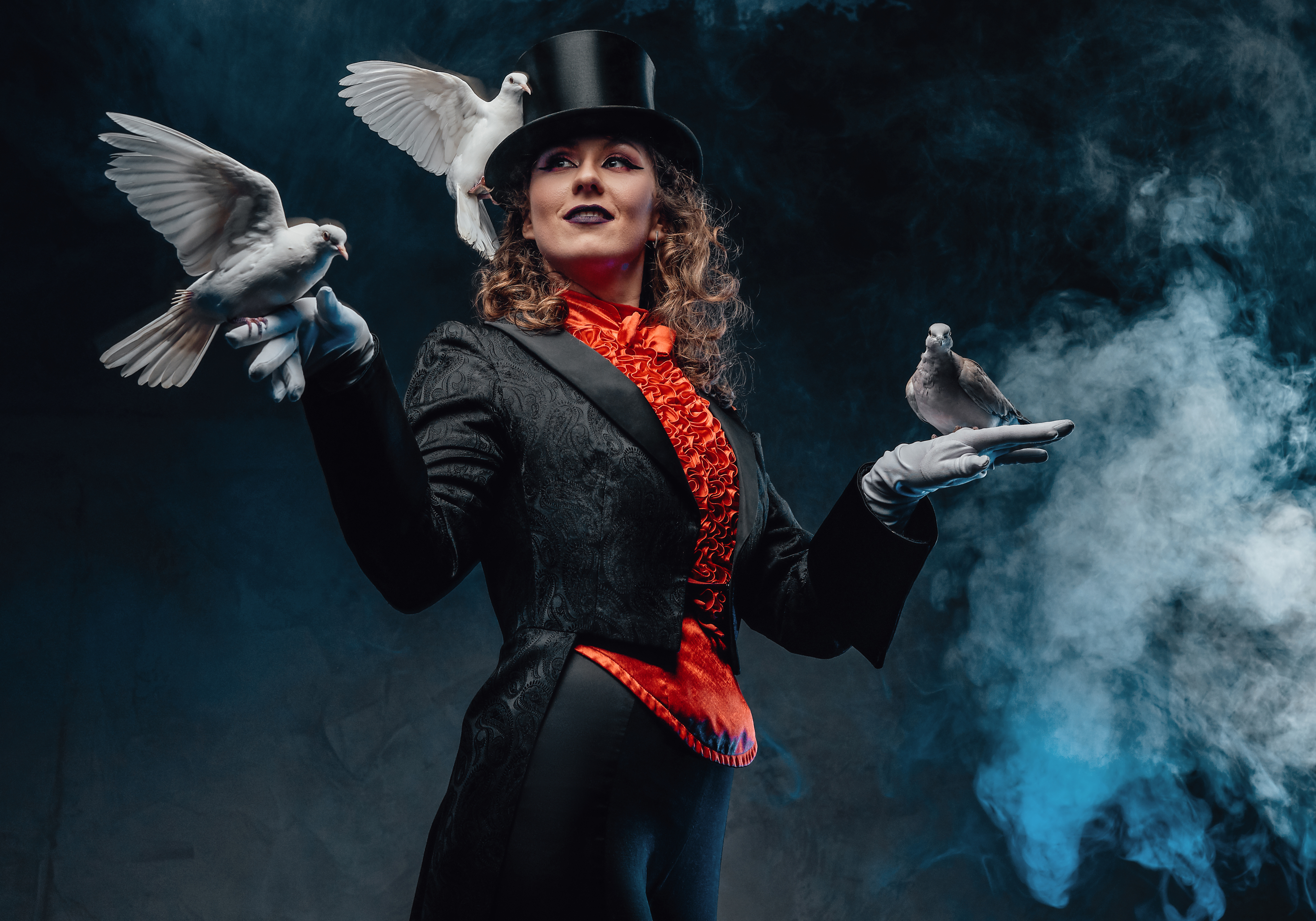 Profesyonel Sihirbaz Hakkında